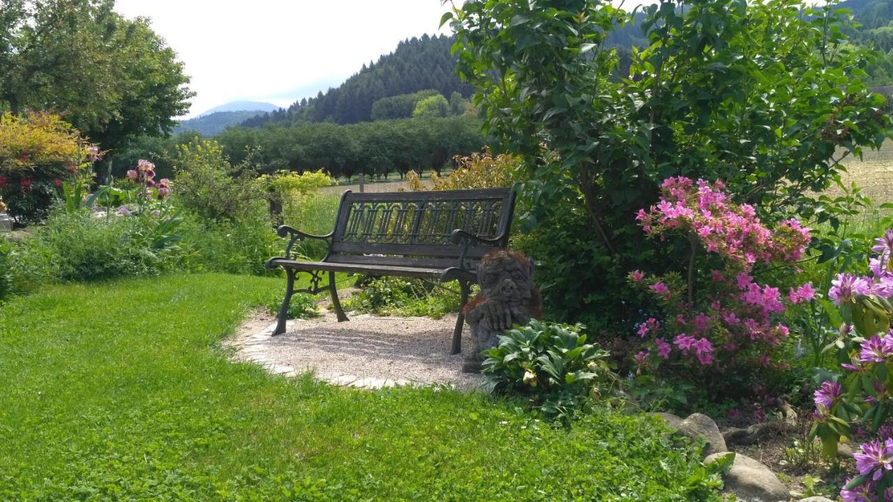 Ferienwohnung Belchenblick 诗道芬·因·布赖施高 外观 照片