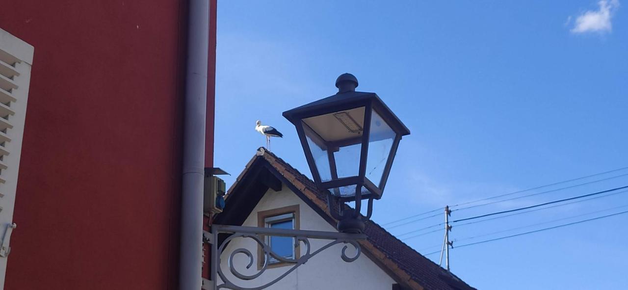 Ferienwohnung Belchenblick 诗道芬·因·布赖施高 外观 照片