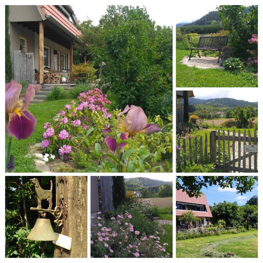 Ferienwohnung Belchenblick 诗道芬·因·布赖施高 外观 照片