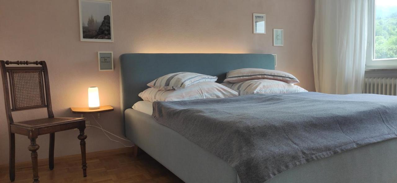 Ferienwohnung Belchenblick 诗道芬·因·布赖施高 外观 照片